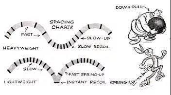 动画运动的10个规律